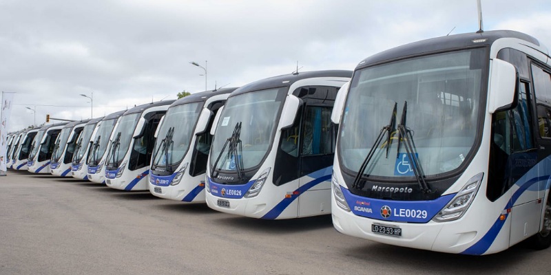 Luanda Ganha Reforço Importante Na Frota De Transportes Colectivos Notícias De Angola 